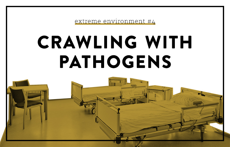 product design for environments crawling with pathogens