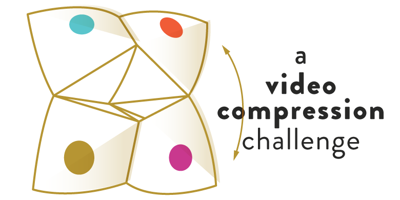 the best embedded solution to a video compression challenge